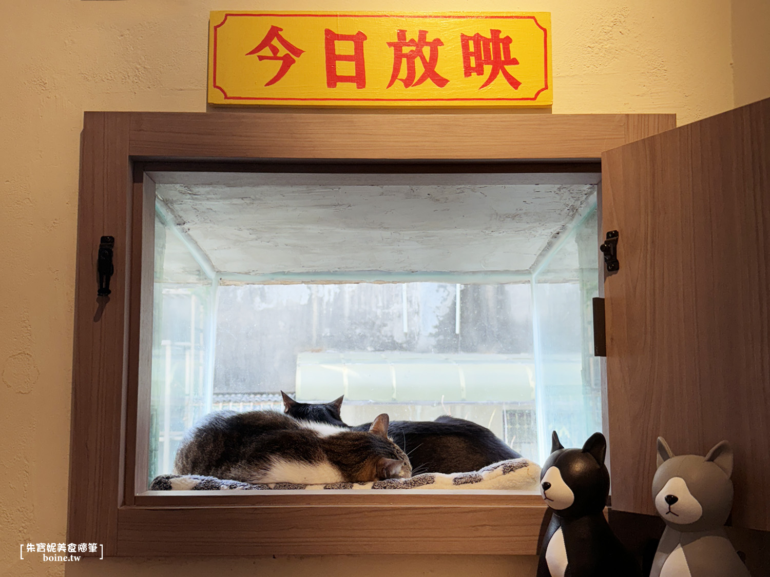 【高雄美食】 貓這邊餐飲俱樂部．餐點最美味的貓咪餐廳(菜單) @朱寶妮美食隨筆