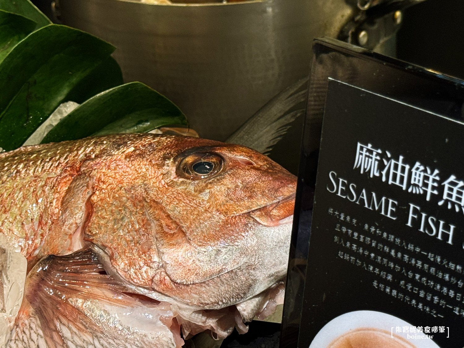 【中山站美食】栢麗廳Brasserie .晶華酒店人氣buffet餐廳(2025價格) @朱寶妮美食隨筆 【中山站美食】栢麗廳Brasserie .晶華酒店人氣buffet餐廳(2025價格) @朱寶妮美食隨筆