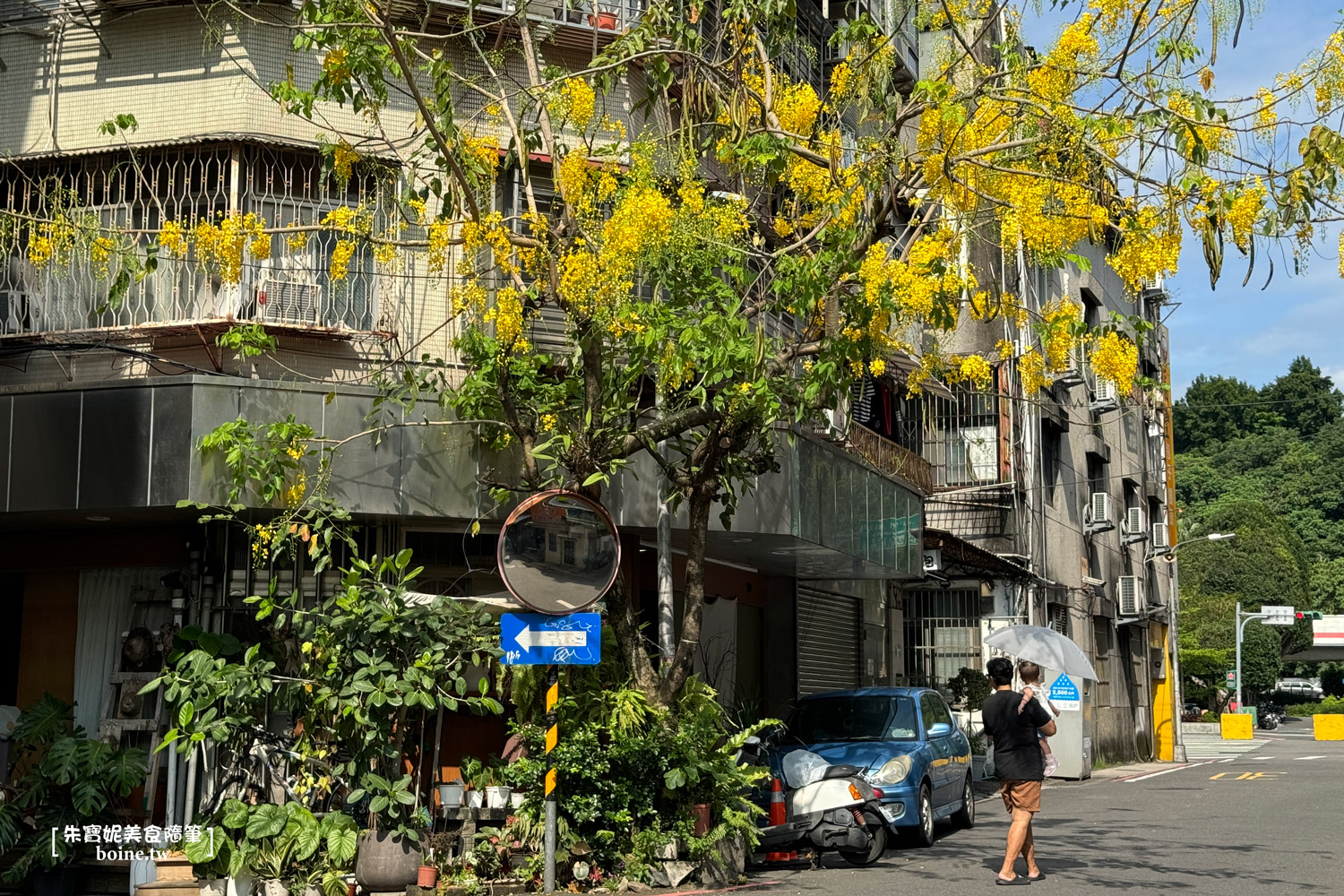 |台北貓咖|光嶼.圓山站咖啡廳推薦.貓星人陪你喝下午茶(菜單) @朱寶妮美食隨筆 |台北貓咖|光嶼.圓山站咖啡廳推薦.貓星人陪你喝下午茶(菜單) @朱寶妮美食隨筆