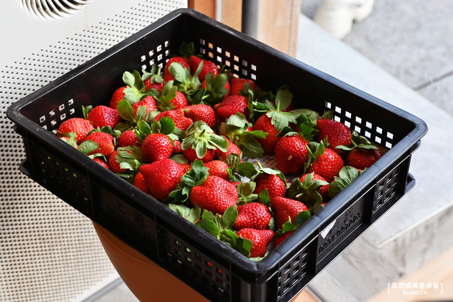 共生Symbiosis café|光榮碼頭旁的柴犬咖啡廳,高雄肉桂捲推薦 @朱寶妮美食隨筆 共生Symbiosis café|光榮碼頭旁的柴犬咖啡廳,高雄肉桂捲推薦 @朱寶妮美食隨筆