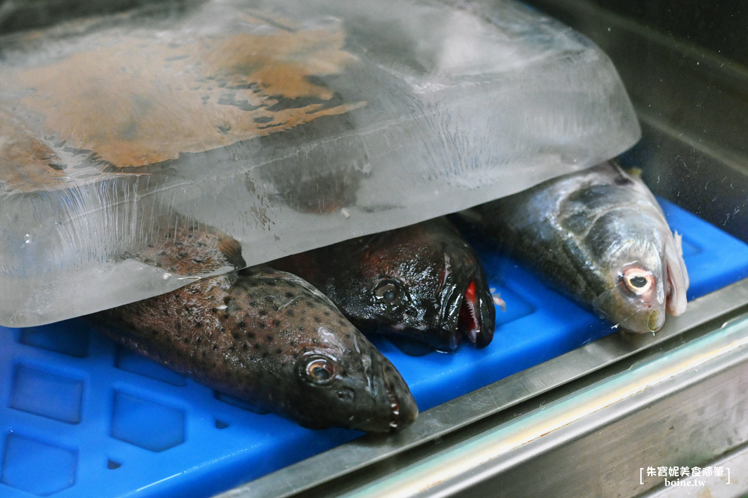 七條通蕭家魚湯|台北中山站美食推薦.老饕最愛的現煮魚湯老店 @朱寶妮美食隨筆 七條通蕭家魚湯|台北中山站美食推薦.老饕最愛的現煮魚湯老店 @朱寶妮美食隨筆