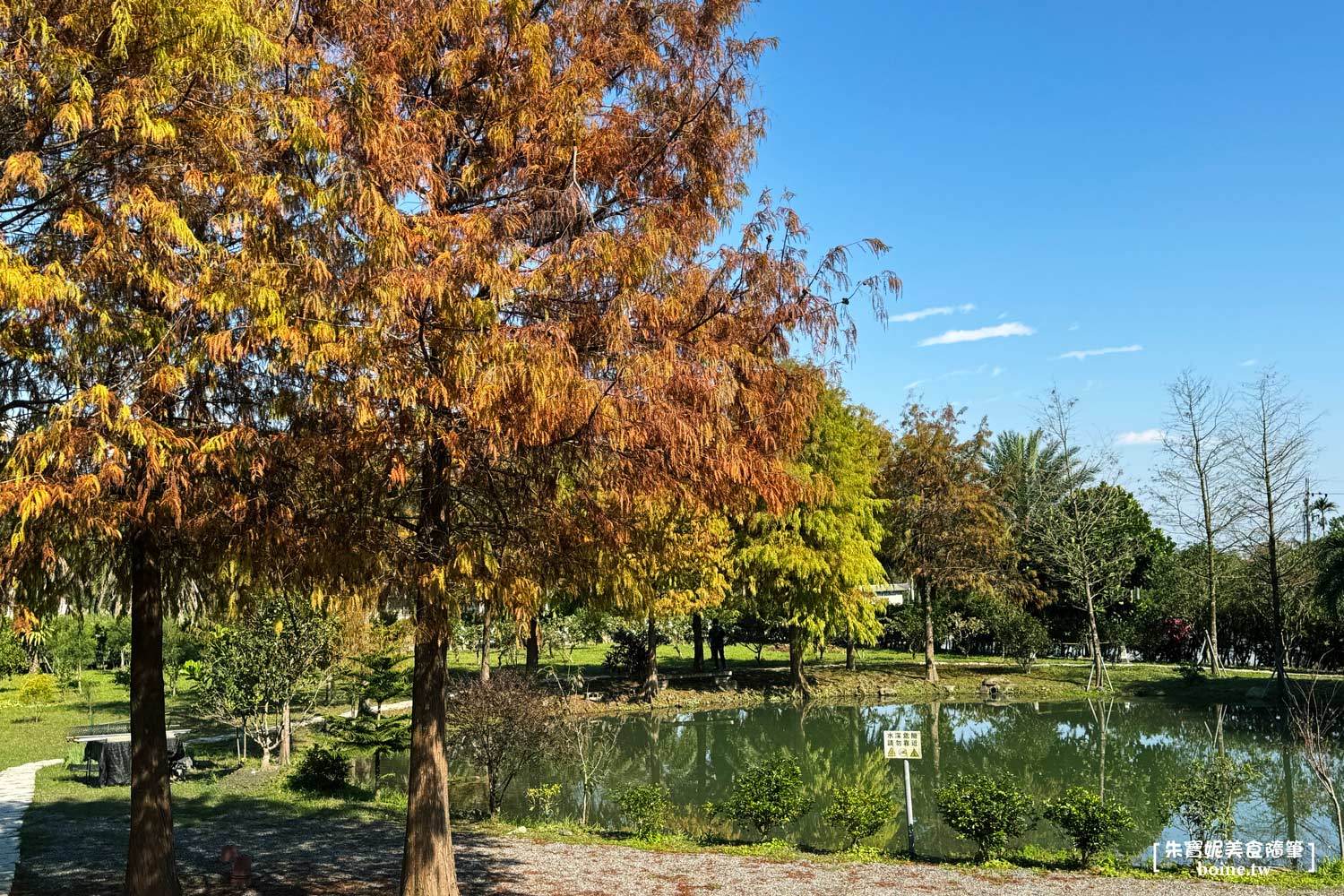 宜蘭美食｜What’s Up Dough?花莎豆米貝果．落羽松秘境與果園午茶 @朱寶妮美食隨筆