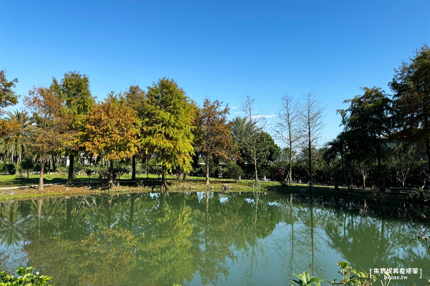 宜蘭美食｜What’s Up Dough?花莎豆米貝果．落羽松秘境與果園午茶 @朱寶妮美食隨筆