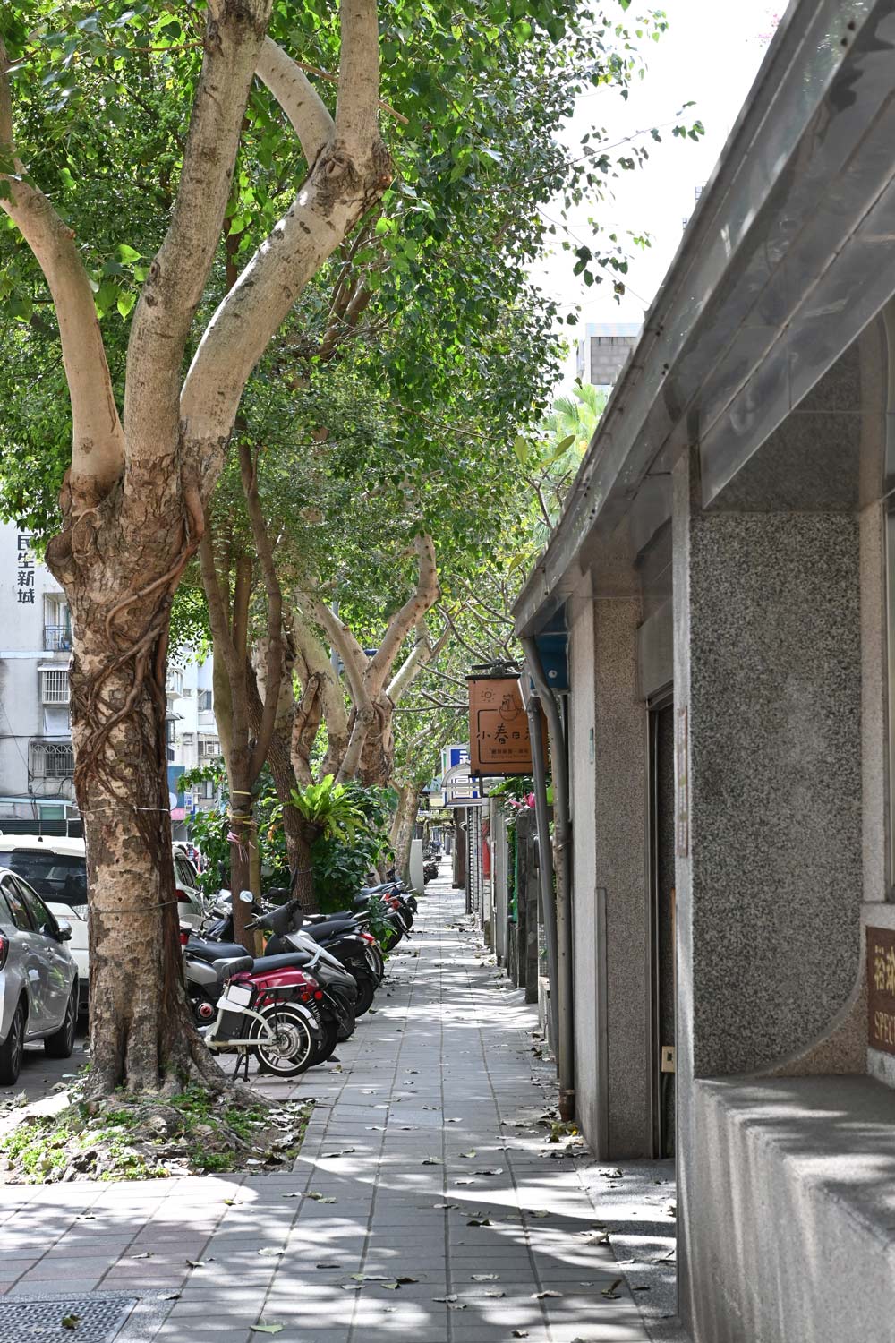 民生社區美食｜Cornerstone Cafe．躲進綠蔭窗景．享受台北澳式早午餐 @朱寶妮美食隨筆