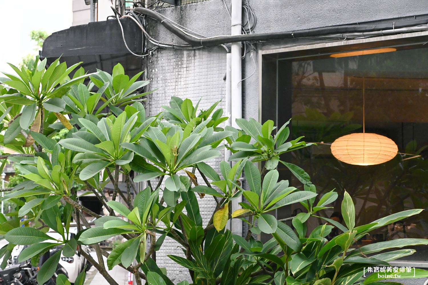 noon.taipei｜隱身大安區的極簡咖啡廳．瑞安街靜巷內的午後時光 @朱寶妮美食隨筆