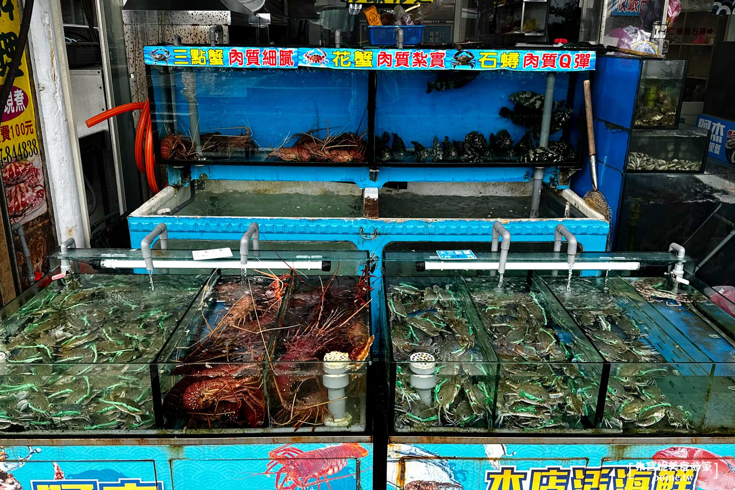 自家漁船現撈尚青.活海鮮秤斤計價不踩雷.北海岸野柳海鮮餐廳推薦 @朱寶妮美食隨筆 自家漁船現撈尚青.活海鮮秤斤計價不踩雷.北海岸野柳海鮮餐廳推薦 @朱寶妮美食隨筆