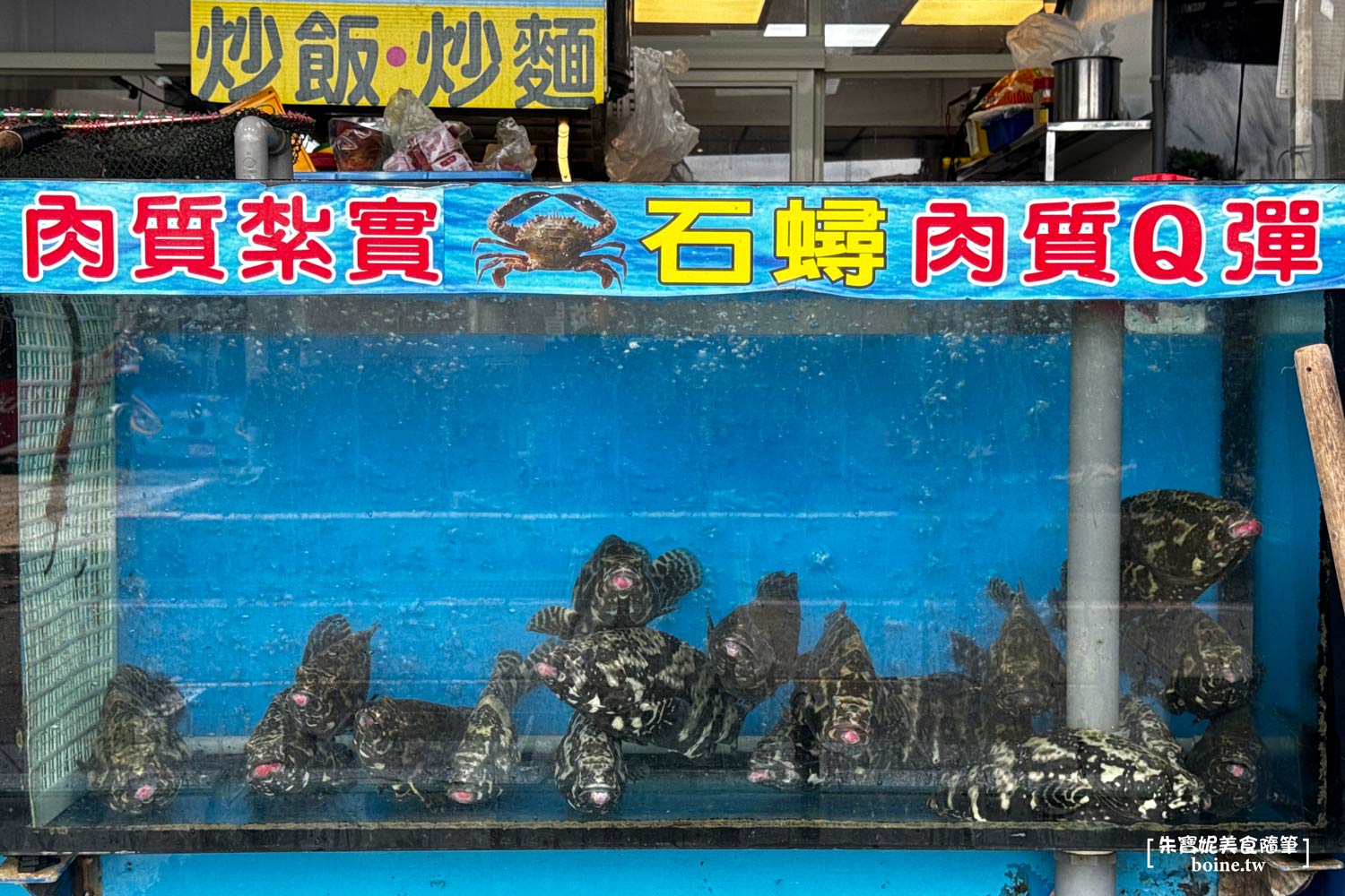 自家漁船現撈尚青.活海鮮秤斤計價不踩雷.北海岸野柳海鮮餐廳推薦 @朱寶妮美食隨筆 自家漁船現撈尚青.活海鮮秤斤計價不踩雷.北海岸野柳海鮮餐廳推薦 @朱寶妮美食隨筆